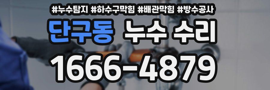 단구동 누수 수리