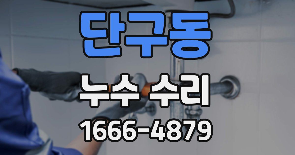 단구동 누수 수리
