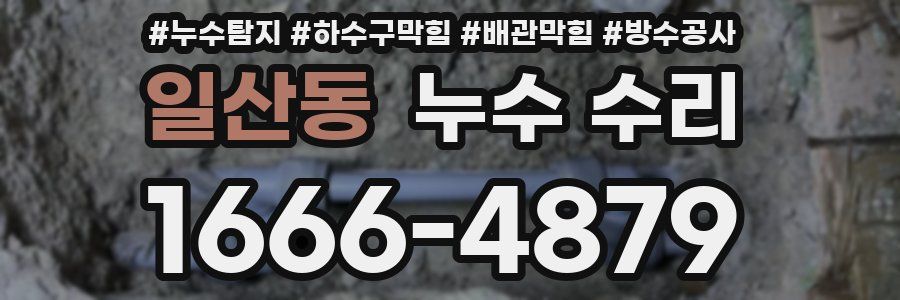 일산동 누수 수리