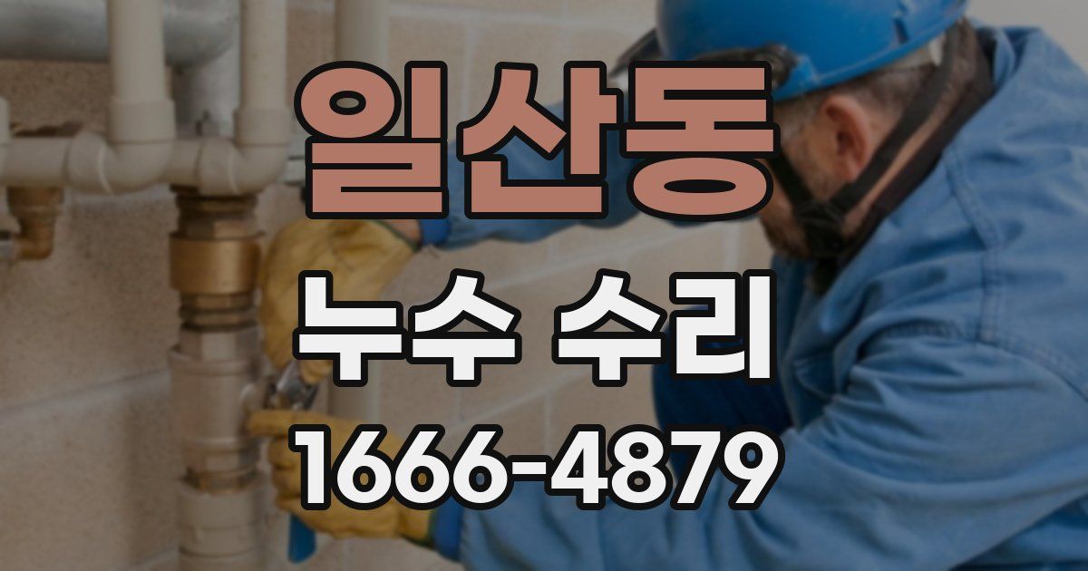 일산동 누수 수리