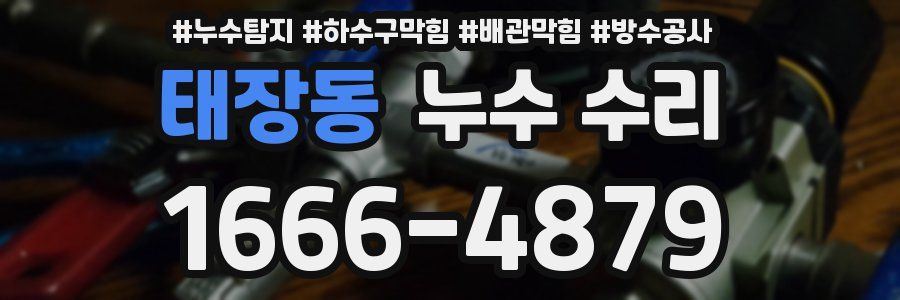 태장동 누수 수리