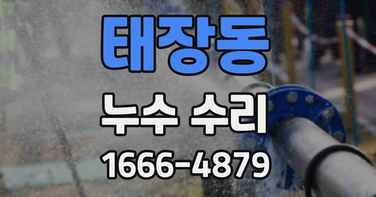 태장동 누수 수리