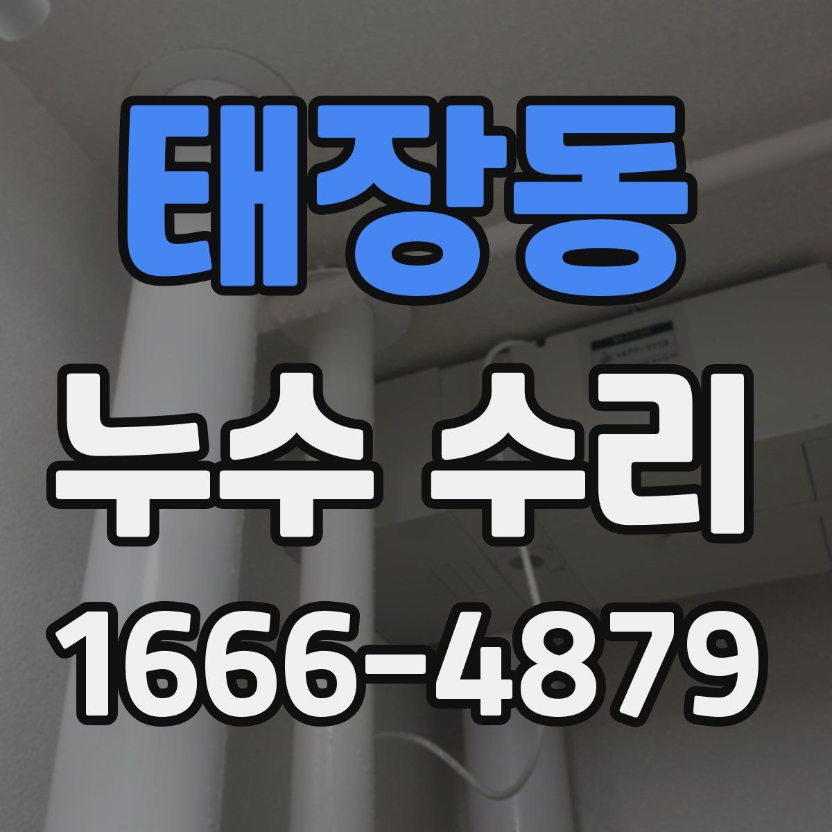태장동 누수 수리