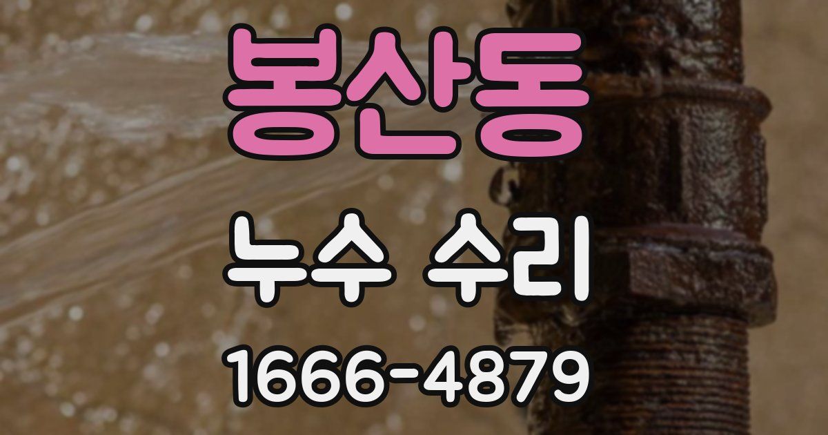 봉산동 누수 수리