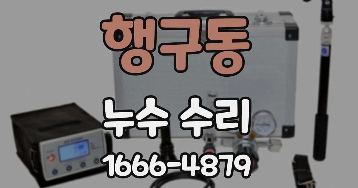 행구동 누수 수리