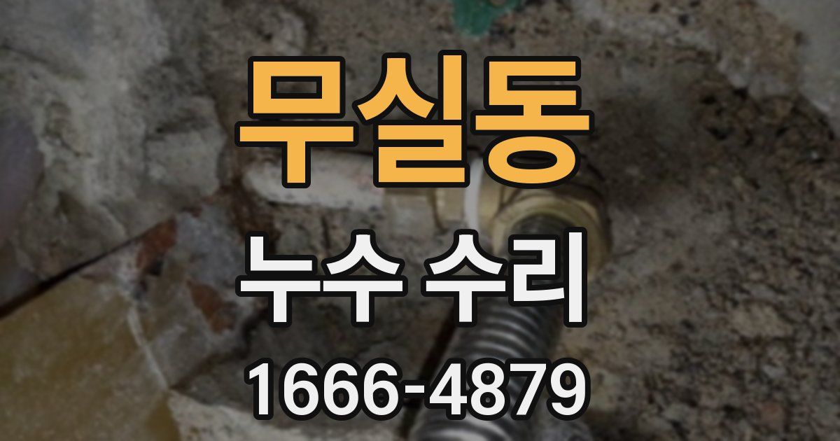 무실동 누수 수리