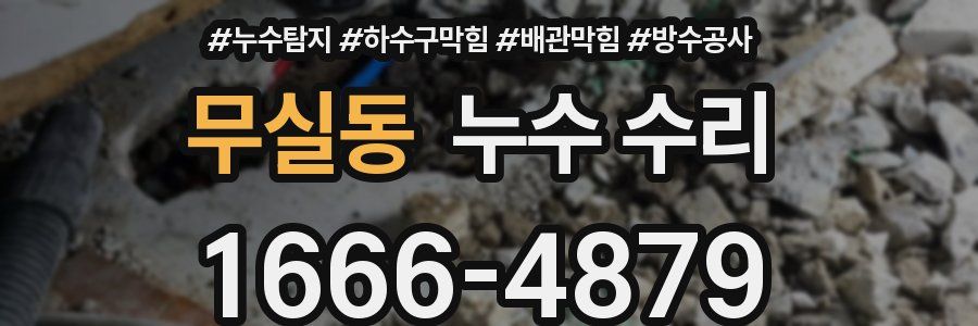 무실동 누수 수리
