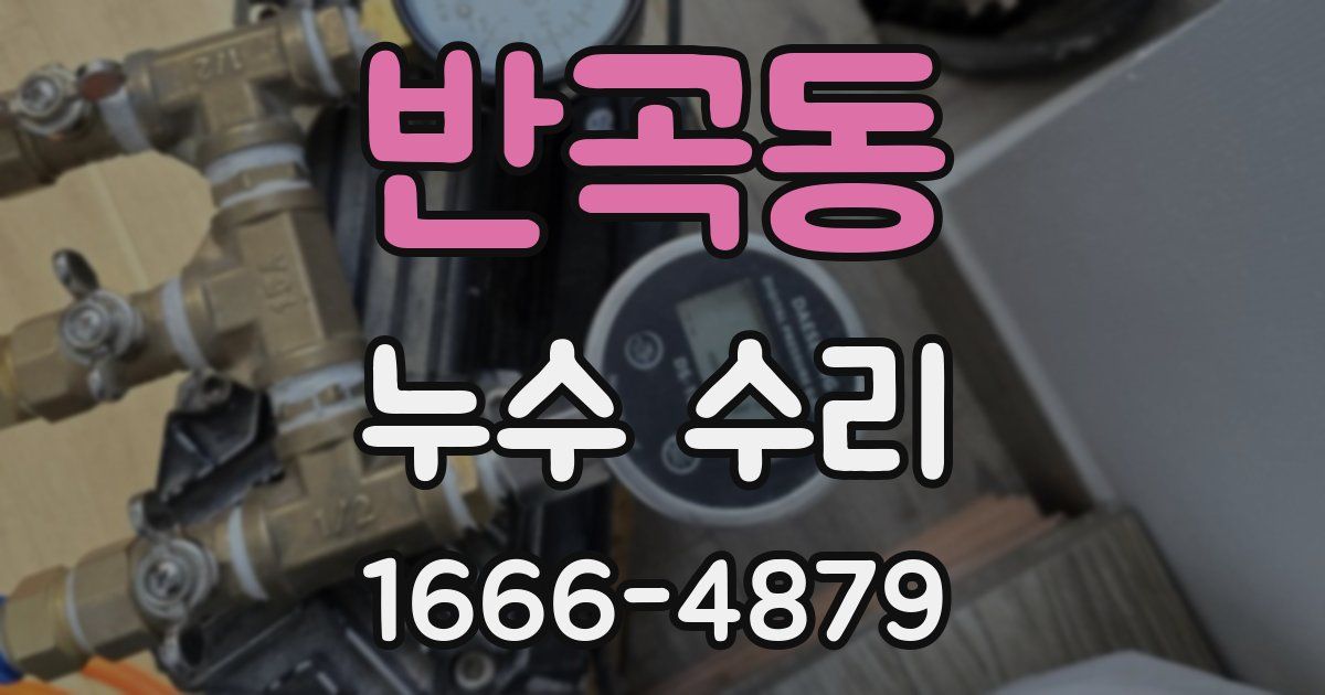 반곡동 누수 수리