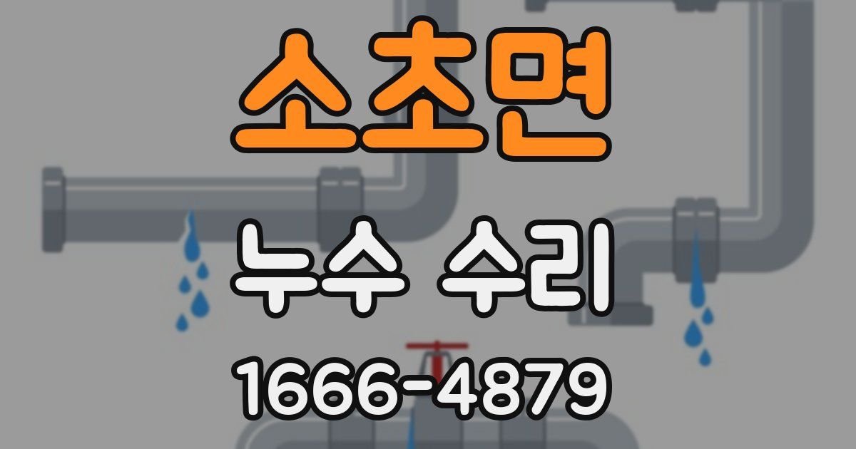 소초면 누수 수리