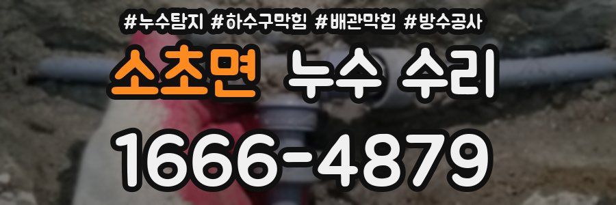 소초면 누수 수리