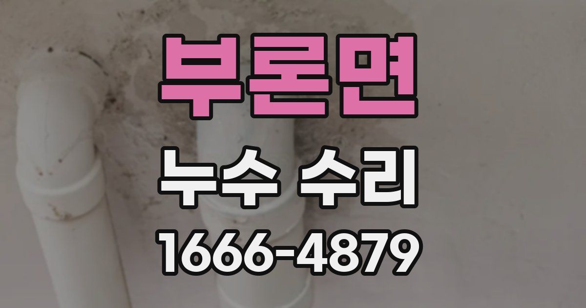 부론면 누수 수리