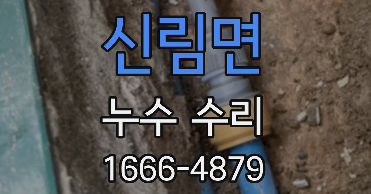 신림면 누수 수리