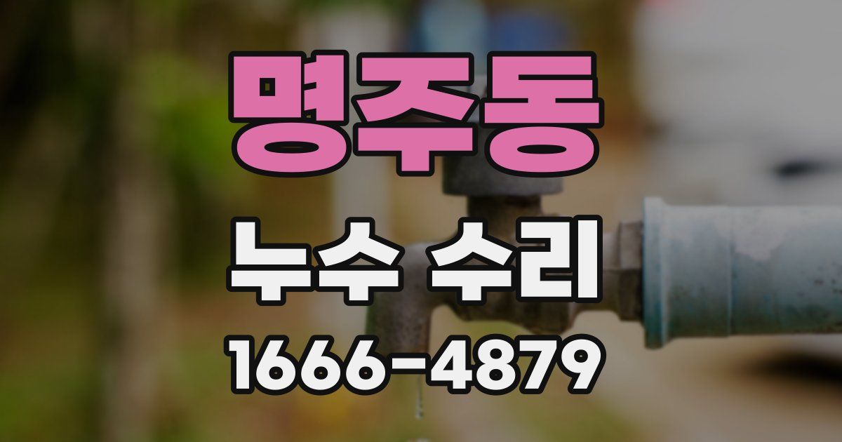 명주동 누수 수리