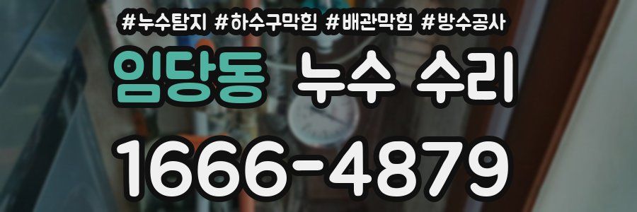 임당동 누수 수리