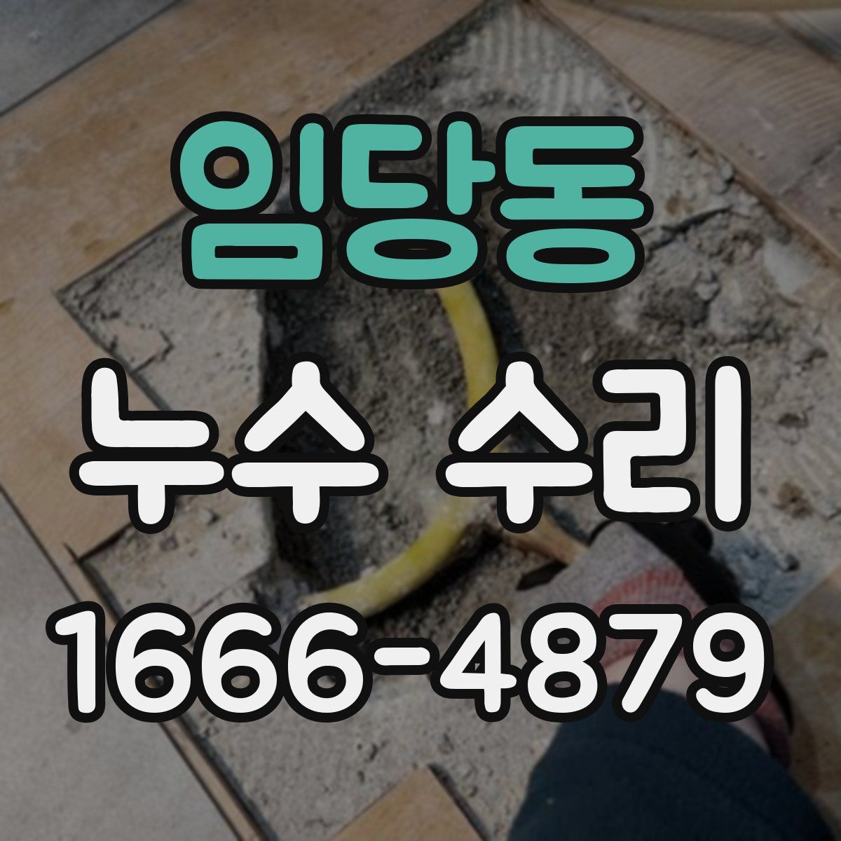 임당동 누수 수리