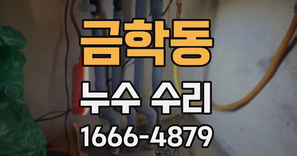 금학동 누수 수리