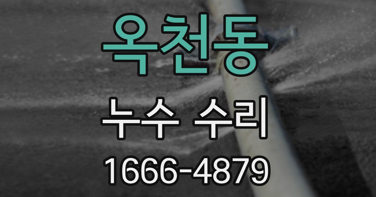 옥천동 누수 수리