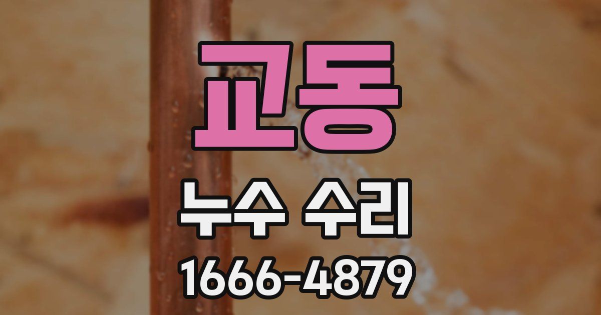 교동 누수 수리