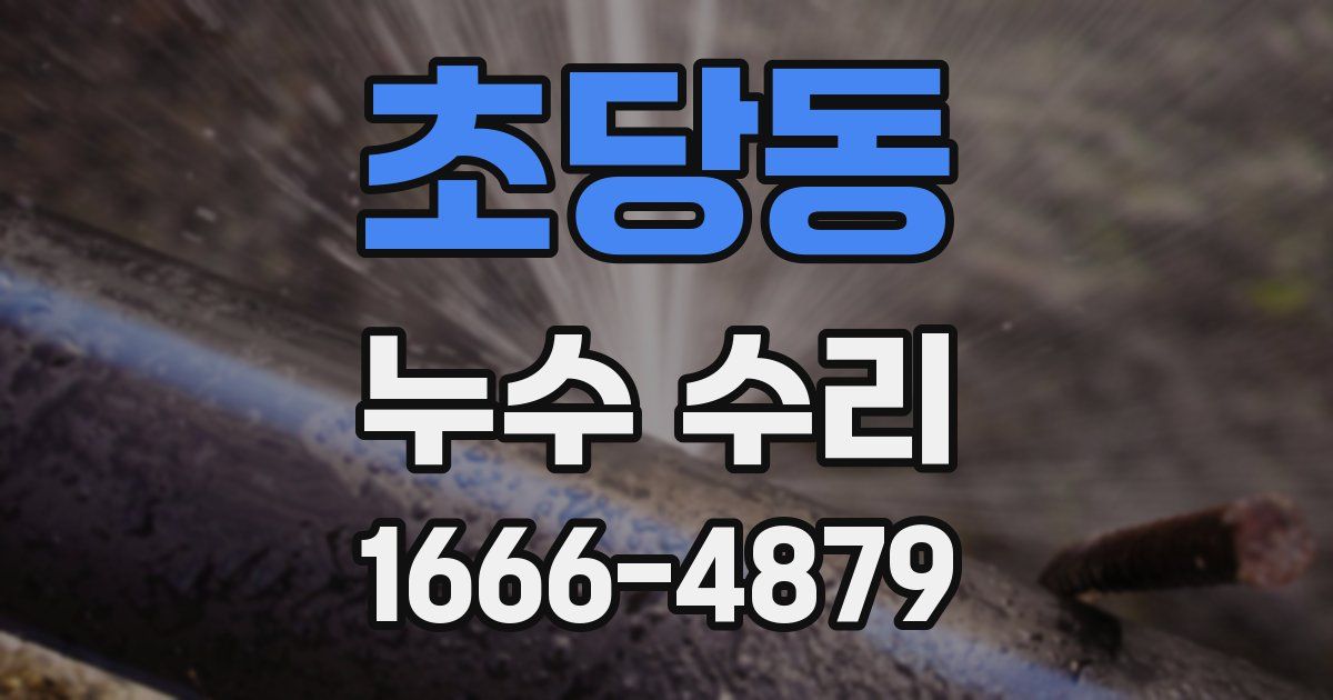 초당동 누수 수리
