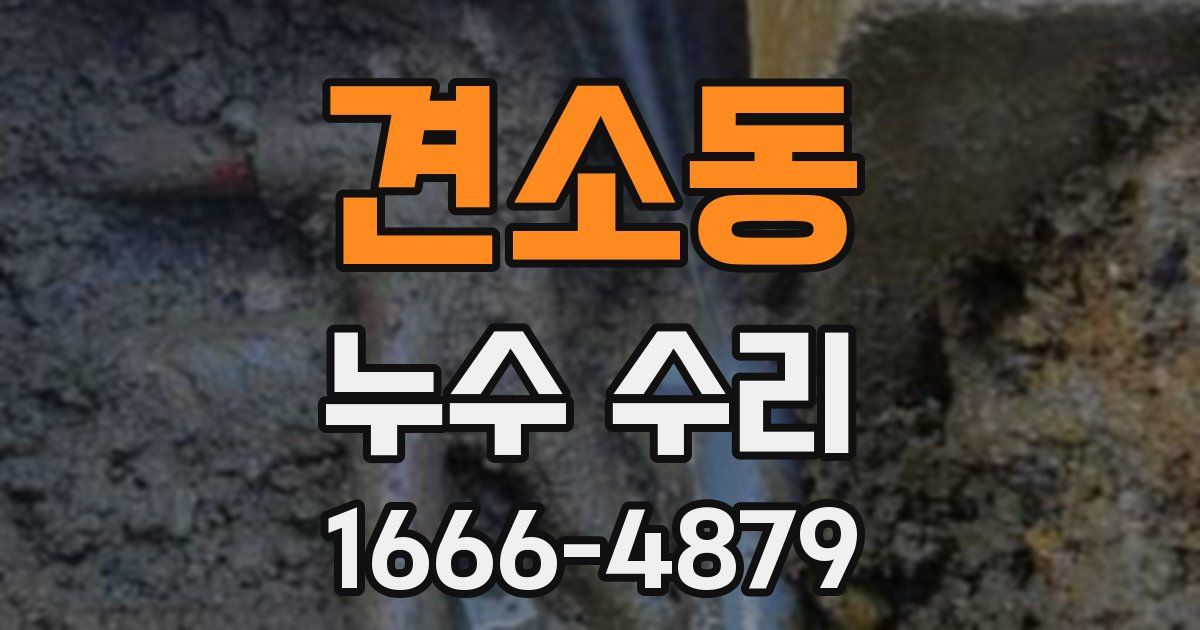 견소동 누수 수리