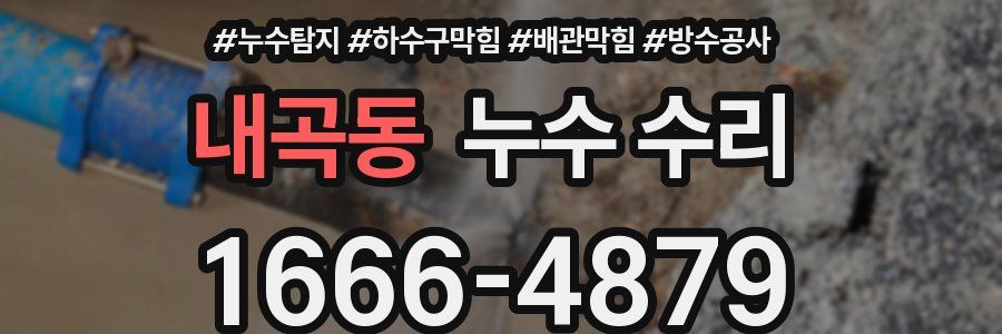 내곡동 누수 수리