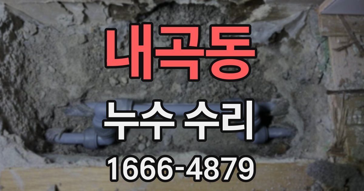 내곡동 누수 수리