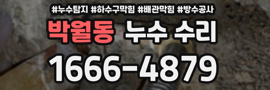 박월동 누수 수리