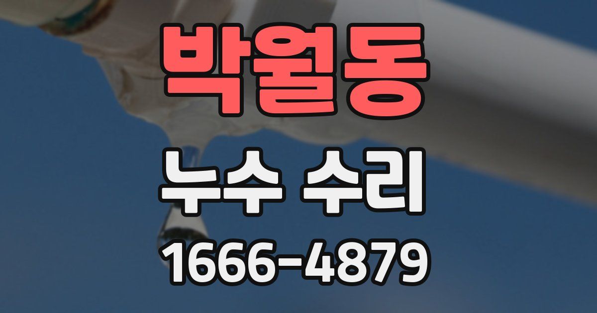박월동 누수 수리