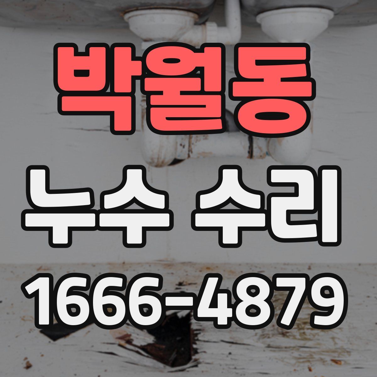 박월동 누수 수리
