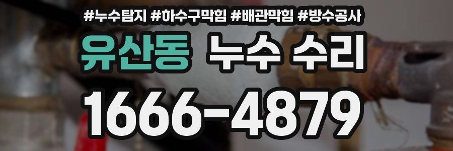 유산동 누수 수리