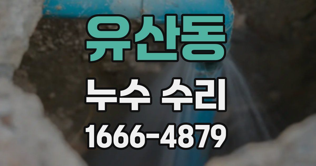유산동 누수 수리