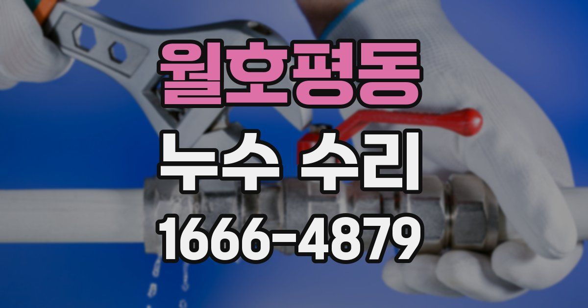 월호평동 누수 수리
