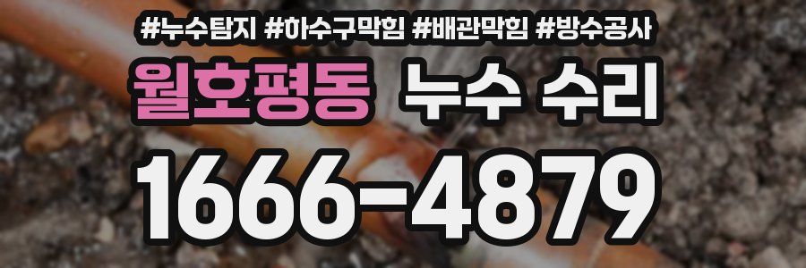 월호평동 누수 수리