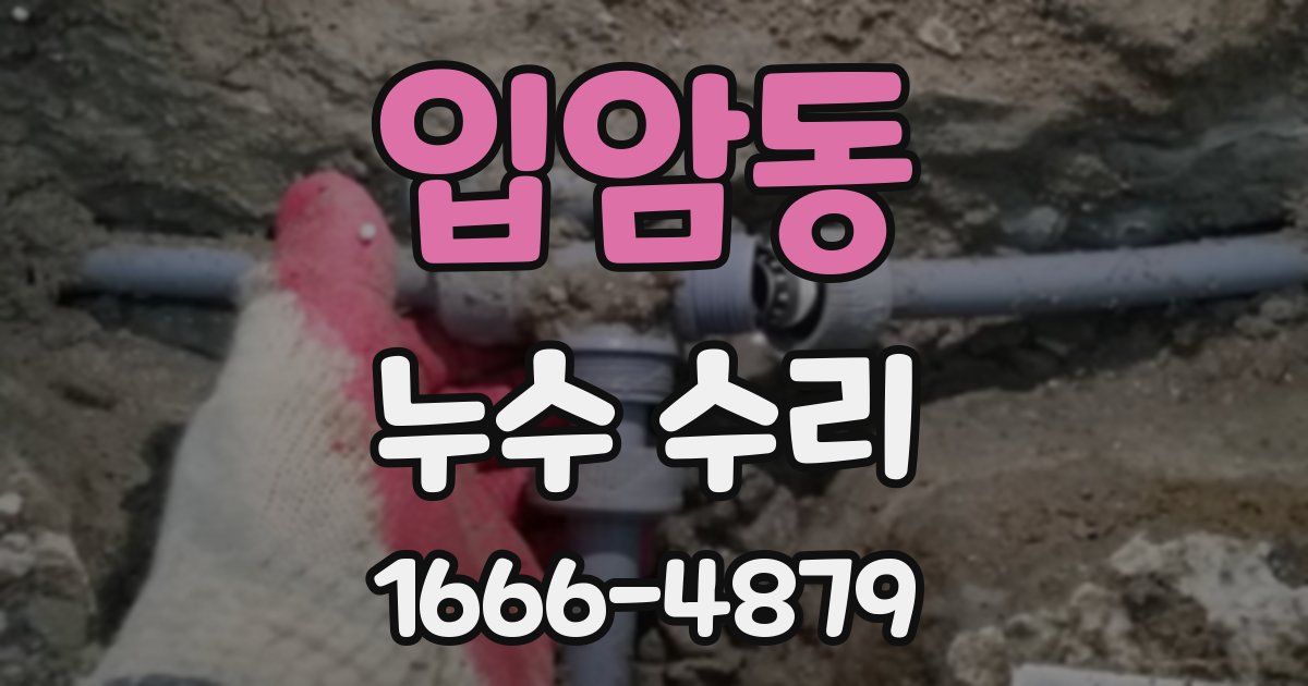 입암동 누수 수리