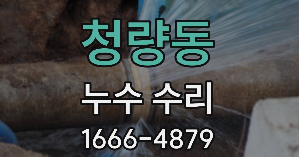 청량동 누수 수리