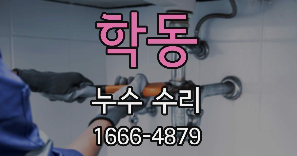 학동 누수 수리