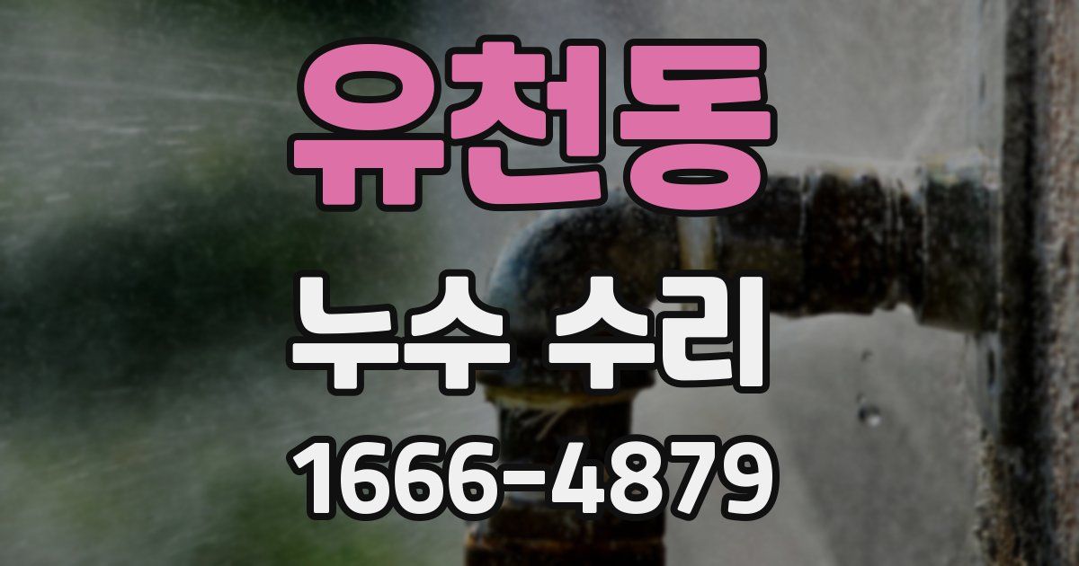 유천동 누수 수리