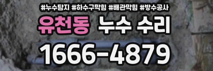 유천동 누수 수리