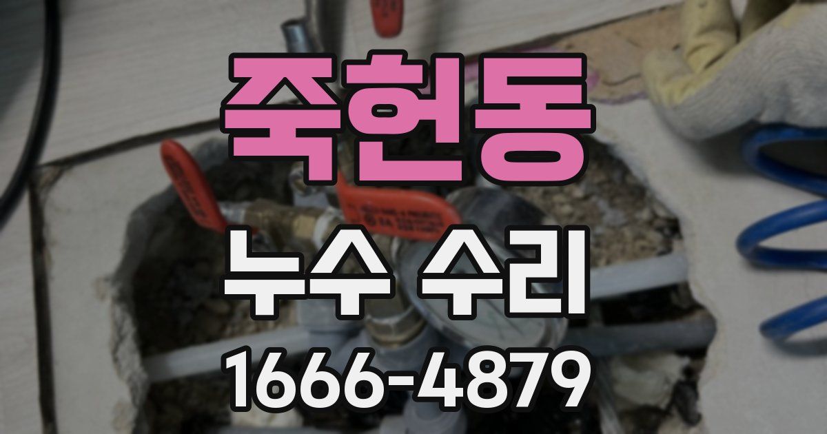 죽헌동 누수 수리