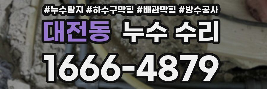 대전동 누수 수리