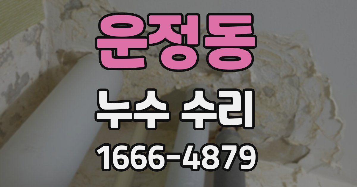 운정동 누수 수리