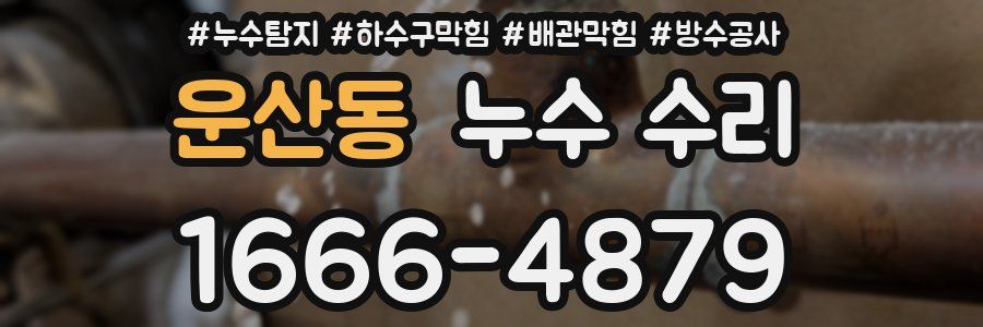 운산동 누수 수리