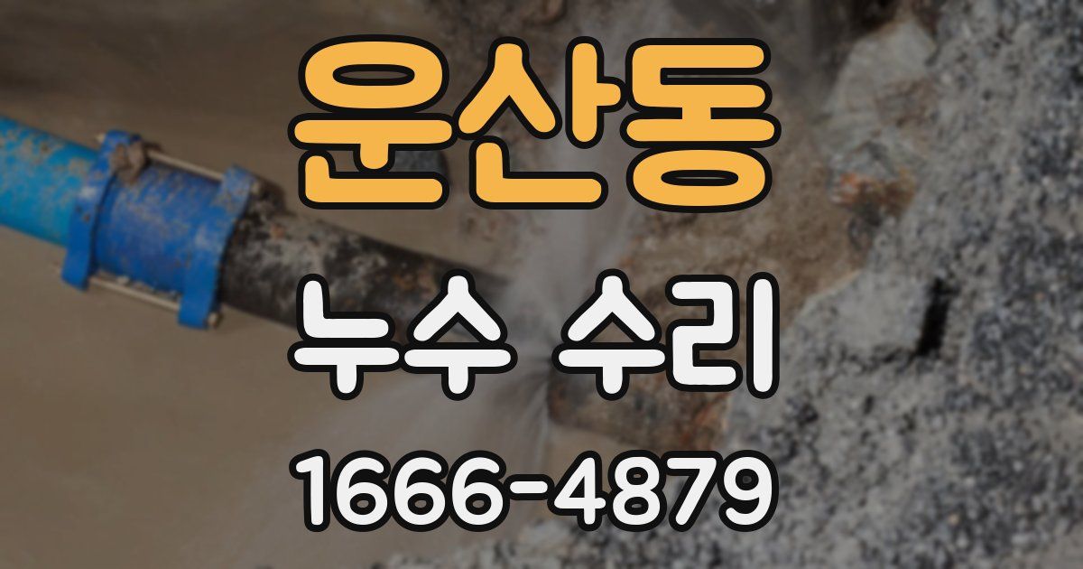 운산동 누수 수리