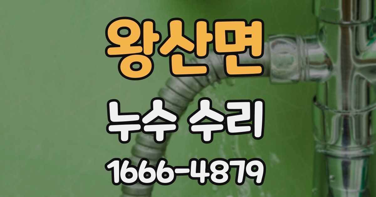 왕산면 누수 수리
