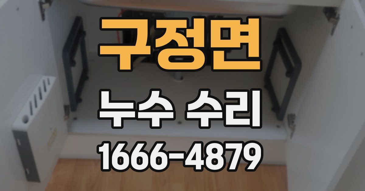 구정면 누수 수리