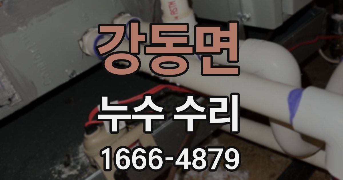 강동면 누수 수리