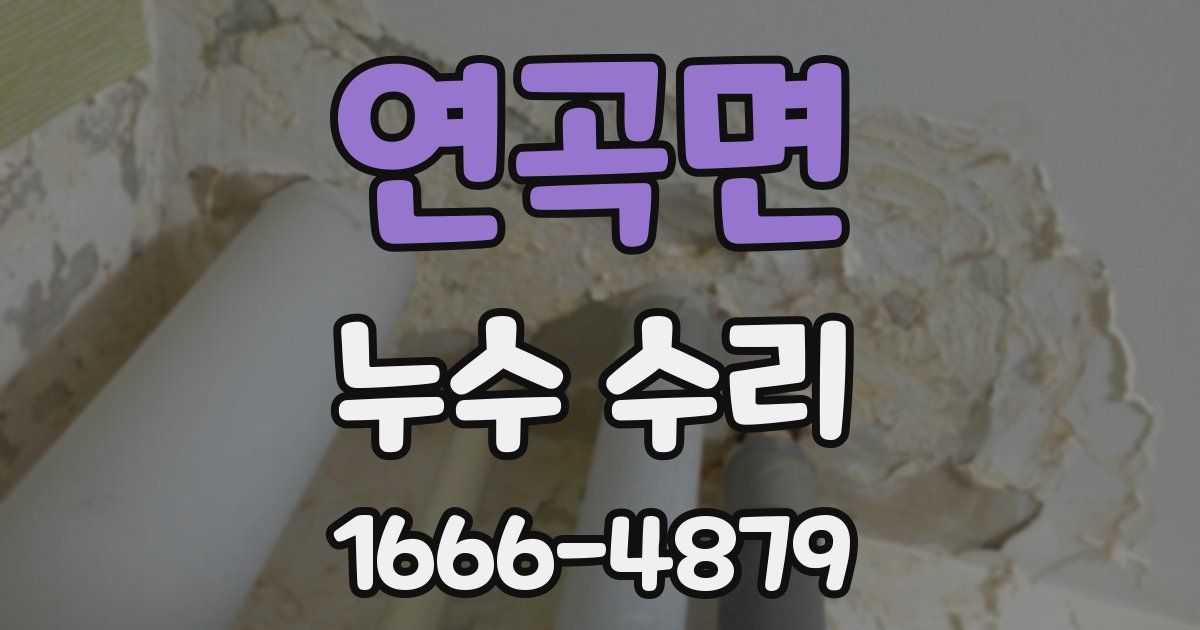 연곡면 누수 수리
