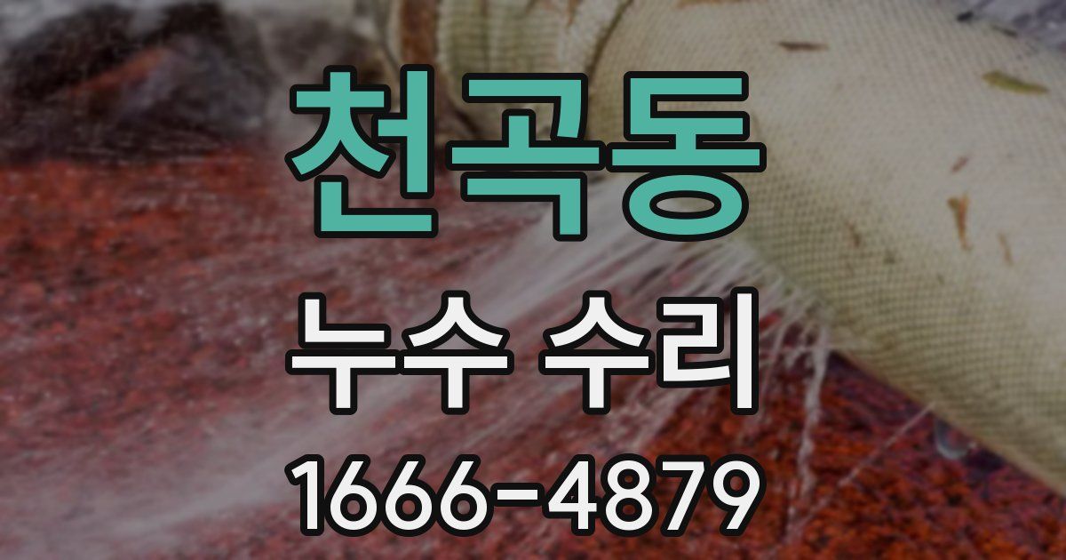 천곡동 누수 수리