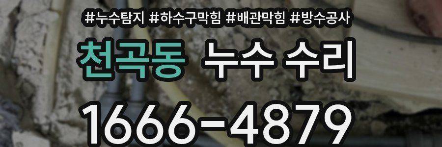 천곡동 누수 수리