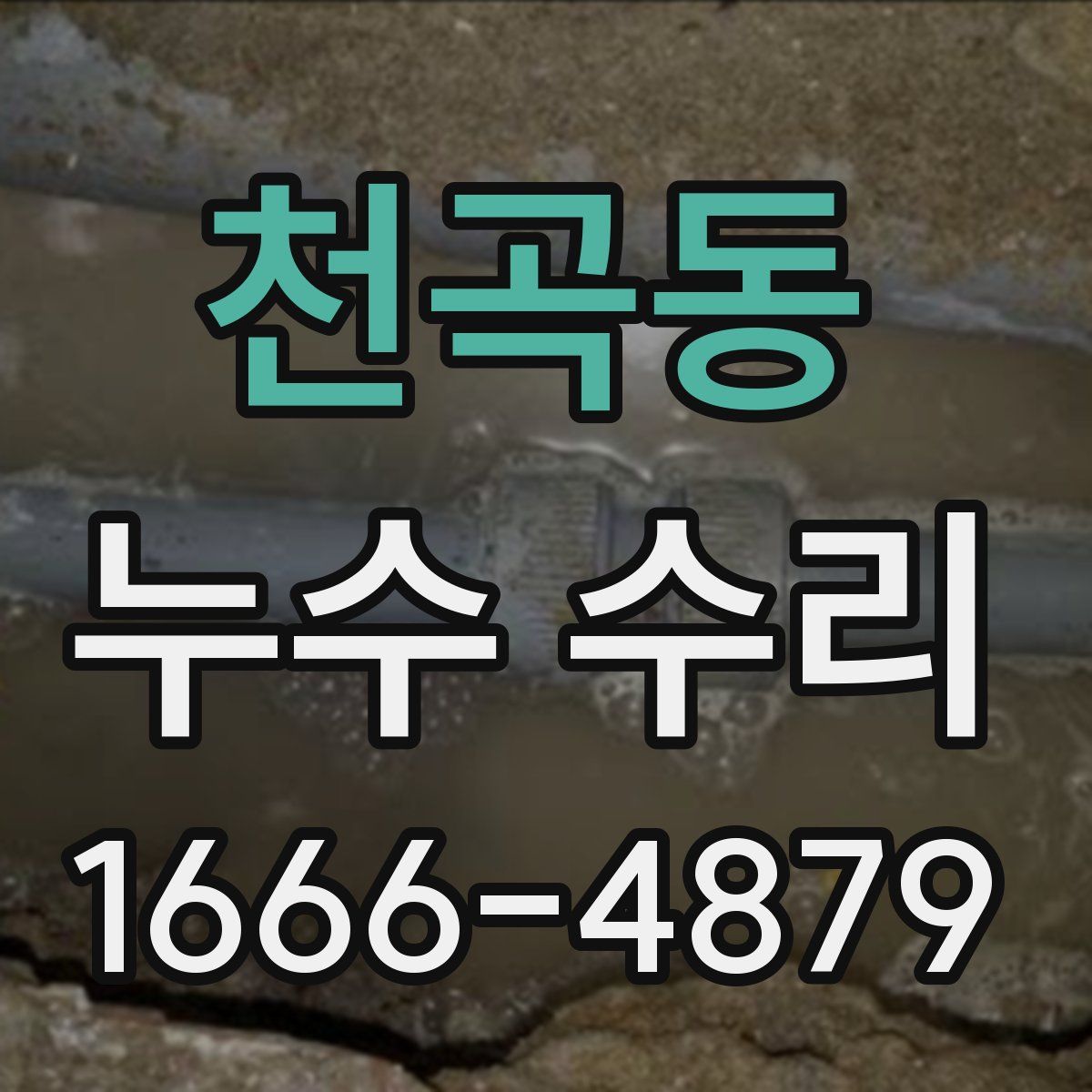 천곡동 누수 수리